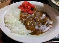 「ミニカレーライス\350」@辰巳庵の写真