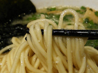 「濃厚鶏ソバ￥８００（限定）」@らーめん稲垣（仮）の写真