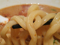 「濃厚辛味噌￥８５０」@麺や 松辰の写真