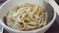 「かけうどん＝310円」@つるこし 静岡SA上り線店の写真