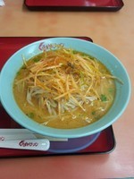 「ネギ味噌ラーメン」@くるまやラーメン 東村山店の写真