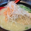 鶏白湯塩ラーメン