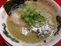 「鶏豚博多ラーメン (650円)」@ラーメン たんろん 本店の写真