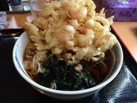 「天ぷらそば（￥550）」@瀬谷そばの写真