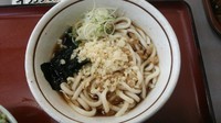 「冷やしたぬきうどん」@山田うどん 新町店の写真