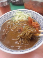 「カレーそば480円」@常盤軒 山手線ホーム店の写真