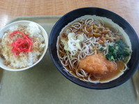 「一石二鳥Aそば(なめこピリ辛そば+そぼろご飯)500円」@たかべん 0番線ホーム店の写真