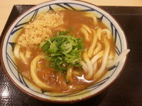 「カレーうどん(並盛)380円」@丸亀製麺 イーサイト高崎店の写真