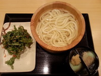 「釜揚げうどん+春菊と小エビのかきあげ410円」@丸亀製麺 イーサイト高崎店の写真