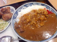 「カレーライス482円＋唐揚げ280円」@わが家の食堂 日暮里店の写真