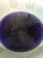 「紫色ラーメン750円」@楽食拉麺 菊やの写真