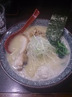 「濃厚鶏そば、大盛り」@征麺家 かぐら屋の写真