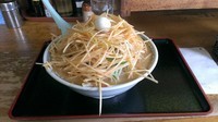 「ネギ味噌ラーメン(780円)」@かもだの写真