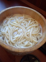 「釜揚げうどん（特盛）240円（釜揚げうどん半額デー）」@丸亀製麺 足立店の写真