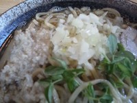「濃厚煮干し中華そば」@つけ麺 らーめん研究所・にぼ兄弟 熊谷妻沼店の写真