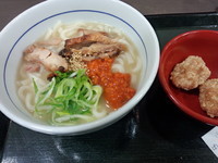 「鶏白湯うどん」@なか卯 上福岡店の写真