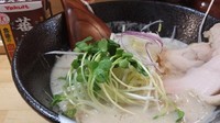 「極濃鶏白湯ラーメン　950円」@ぼっこ志の写真