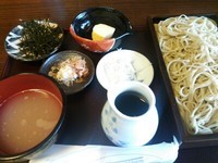 「おろしそば」@石臼手打ちそば まつの実の写真