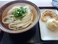 「冷やかけ２玉(470円)天ぷら２」@讃岐うどん 條辺の写真