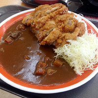 「山賊焼カレー　870円」@東部湯の丸サービスエリア（上）の写真