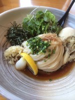 「まいたけぶっかけうどん」@うどん匠人 岡本の写真
