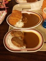 「チキンカツカレー」@ハングリーベアー・レストランの写真