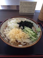 「ひやがけたぬきうどん」@あきばの写真