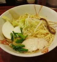 「塩らーめん」@旬麺しろ八の写真