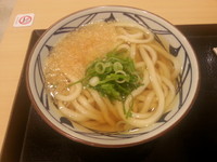 「かけうどん(並)280円」@丸亀製麺 イーサイト高崎店の写真
