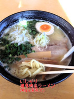 「濃厚鶏塩ラーメン」@佐野青竹手打ちラーメン いしかりの写真