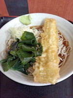 「天ぷら（いか天）そば(冷)400円」@梅もと 品川店の写真