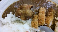 「ポークカレー530円＋ランチ限定得々トッピング150円」@SPICE GARDENの写真