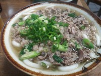 「肉うどん+麦酒」@千とせの写真