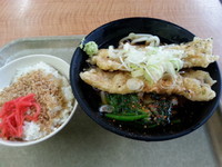 「一石二鳥Aうどん(豚天ホウレン草+そぼろご飯)500円」@たかべん 0番線ホーム店の写真