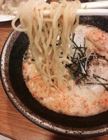 「とん辛冷やし麺（750円）」@麺や 新のすけの写真