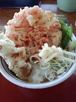 「冷やし紅生姜のかき揚げうどん490円」@山田うどん食堂 谷塚店の写真