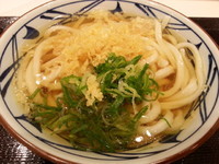 「冷やしかけうどん(並盛)280円」@丸亀製麺 イーサイト高崎店の写真