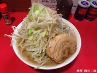 「普通盛（野菜）」@麺屋 鳳の写真