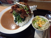 「北品川カレー（M）880円＋鶏モモ300円」@ロビンソンクルーソーカレーハウスの写真