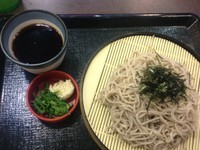 「山わさびそば」@なか卯 新座道場店の写真