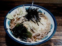 「冷やしたぬきそば ￥370」@ガリレオ八兵衛の写真