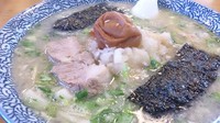 「みぞれラーメン(中盛)」@がんこや かるがんラーメン つくば店の写真