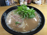 「塩豚骨ラーメン 700円 (ハリガネ)」@豚骨ラーメン 新井商店の写真