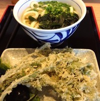 「かけ（並）（￥360）＋春菊天（￥110）」@讃岐うどん 源八の写真