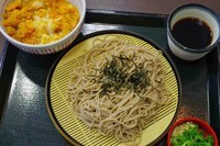 「山わさびそば並」@なか卯 上福岡店の写真