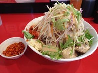 「冷やし中華(普)(全マシマシ辛揚げ別皿) 830円」@用心棒Ⅱ階の写真