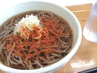 「かけそば【330円】」@第三京浜保土ヶ谷パーキングエリア売店の写真