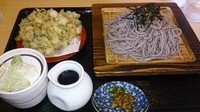 「天ざるそば　小柱のかきあげ」@そば処 かつら 北町分店の写真