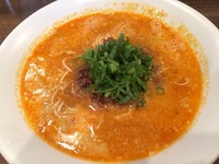 「担担麺+替玉（800+100円）」@創作麺工房 鳴龍の写真