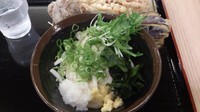 「ぶっかけうどん_270円」@たも屋 有楽町店の写真